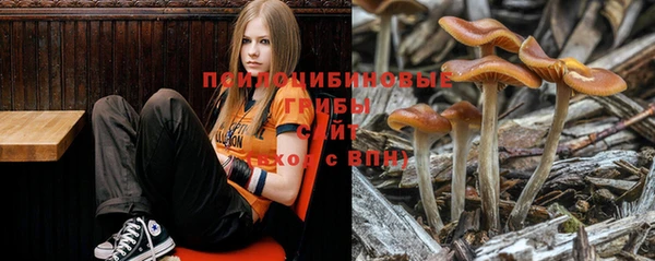 трава Богданович