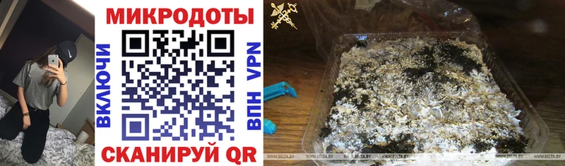 Купить закладки Карталы Галлюциногенные грибы Cubensis